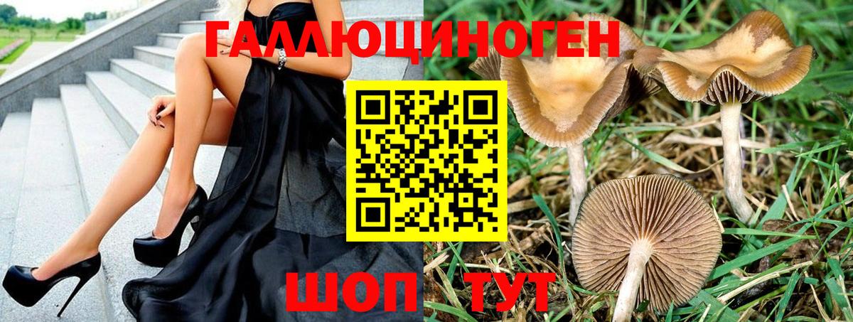 Галлюциногенные грибы GOLDEN TEACHER Рославль