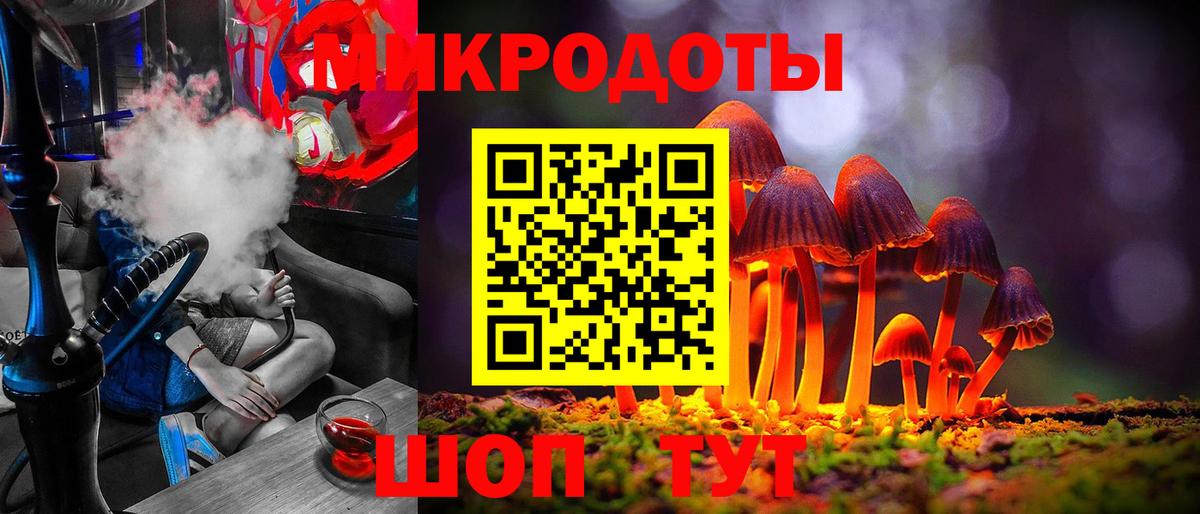 МЕФ Рославль